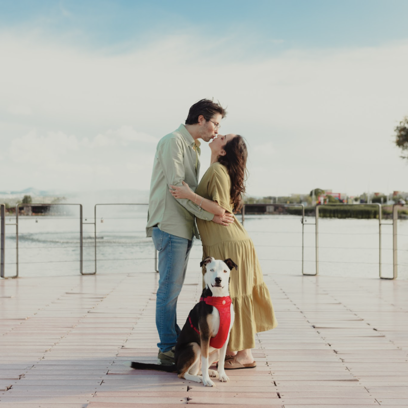 Screenshot 2025-11-21 at 5.15.33 p.m.